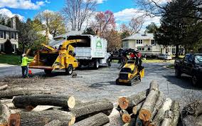 Best Seasonal Cleanup (Spring/Fall)  in Brownsboro, TX